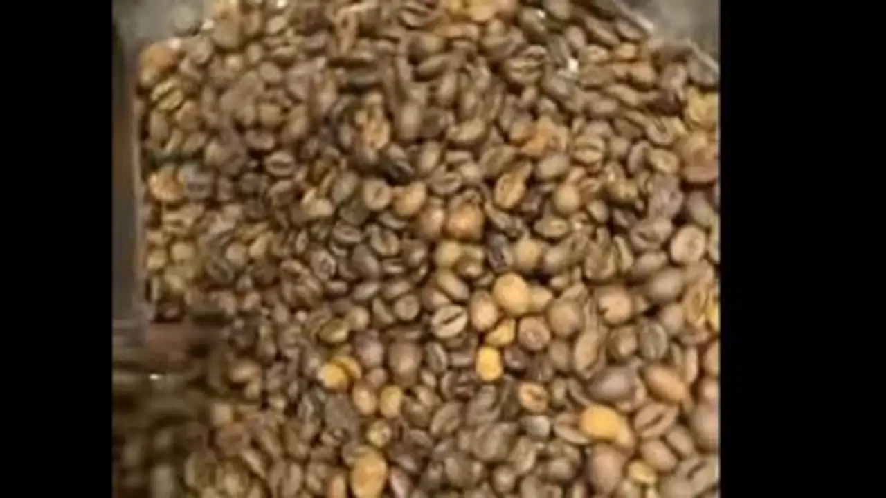 شعبة البن في مصر تكشف حقيقة غش القهوة ومصدر الجدل